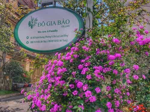 Do Gia Bao Villa Do Gia Bao Villa