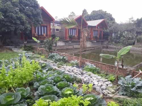Chez Hiep Tam Coc Homestay Chez Hiep Tam Coc Homestay