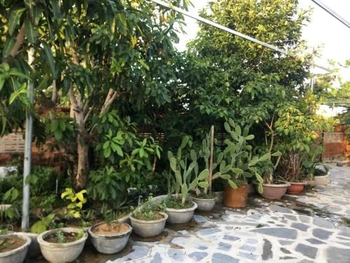 Homestay Ken King4