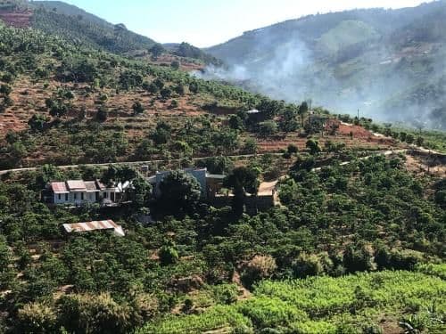 OVi coffee farmstay Da Lat OVi coffee farmstay Da Lat