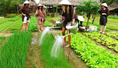 Ri's House Hoi An Homestay2