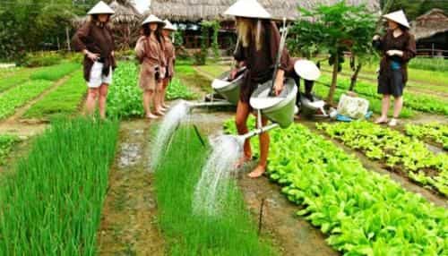 Ri's House Hoi An Homestay Ri's House Hoi An Homestay