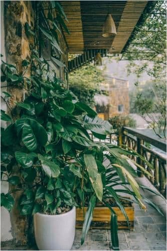 Triple Room with Garden View