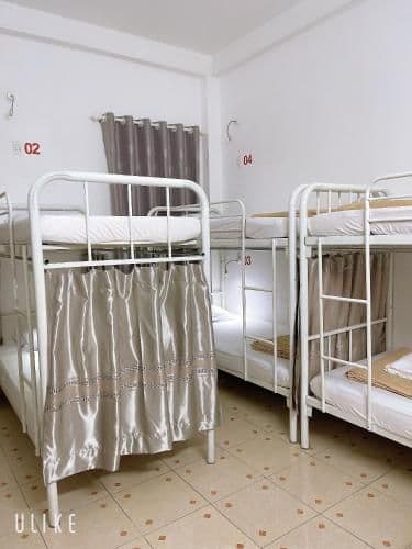 Bed in 8-Bed Mixed Dormitory Room