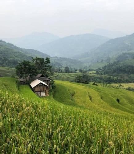 Nậm Lỳ Homestay- Breakfast included Nậm Lỳ Homestay- Breakfast included