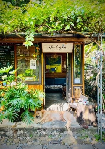 Blue Lagoon Cat Ba0