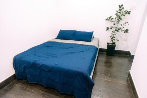 Deluxe Double Room with Shower