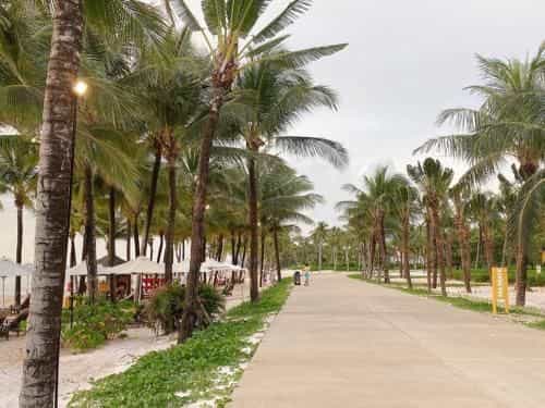 The Costis Phu Quoc - Hostel and Homestay The Costis Phu Quoc - Hostel and Homestay