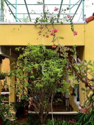 Queen Room with Garden View