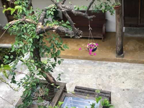 Leranda Homestay Leranda Homestay