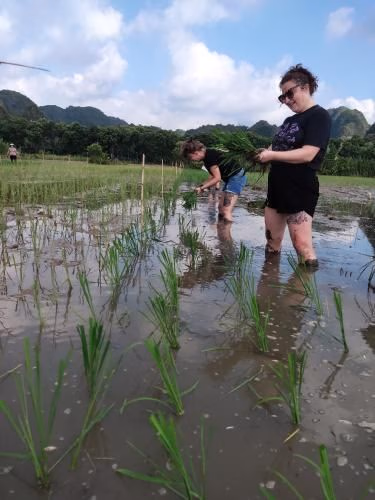 Tam Coc Lotus Flower Homestay1