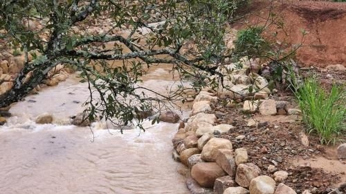 Dhalia Stream View Cottage2