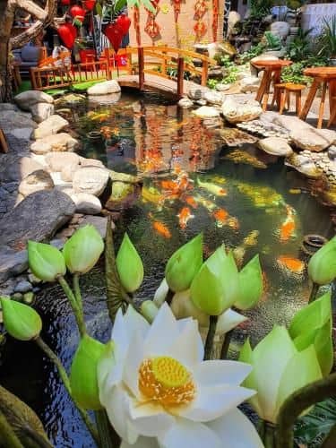 KoiKing Homestay Quy Nhon KoiKing Homestay Quy Nhon