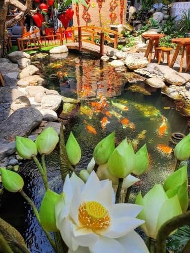 KoiKing Homestay Quy Nhon KoiKing Homestay Quy Nhon
