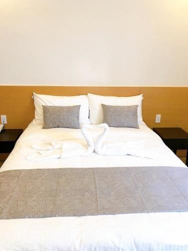 Deluxe Room (2 Adults + 1 Child)