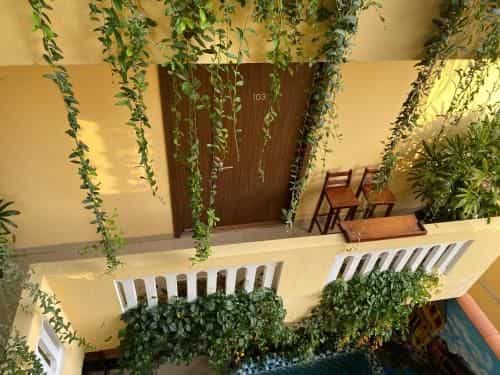 THE VIEW HOMESTAY HOI AN THE VIEW HOMESTAY HOI AN