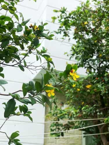 Contemporary Greenhouse Garden Villa- 4 bedrooms Villa Contemporary Greenhouse Garden Villa- 4 bedrooms Villa