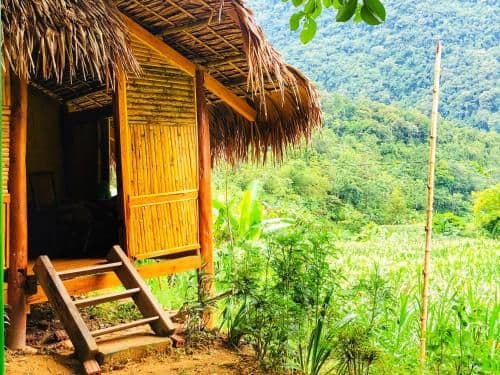 Deluxe Bungalow with Garden View