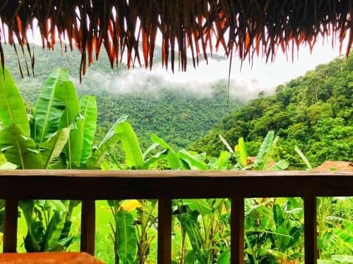 Deluxe Bungalow with Garden View
