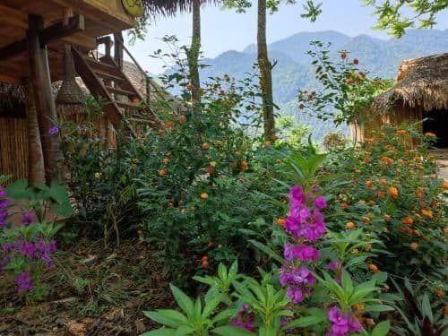 Cottage with Garden View