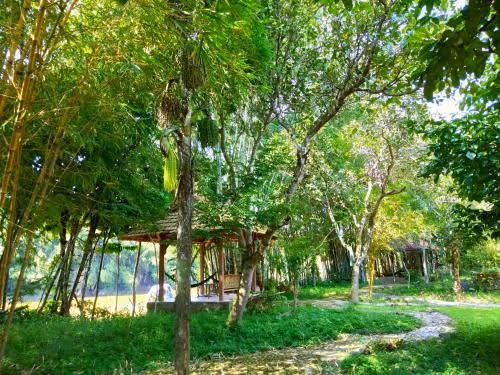 Superior Double Room with River View
