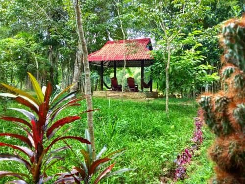 Deluxe Double Room in Stilts Wooden House