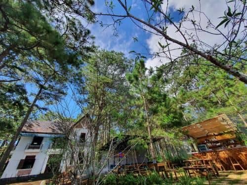 Chino Homestay Mang Den Chino Homestay Mang Den