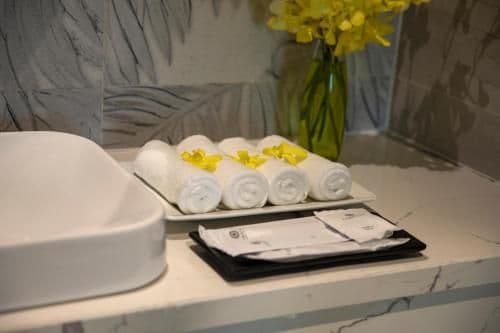 Deluxe Double or Twin Room with City View