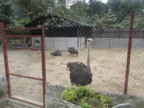 Truong Xuan Resort Truong Xuan Resort