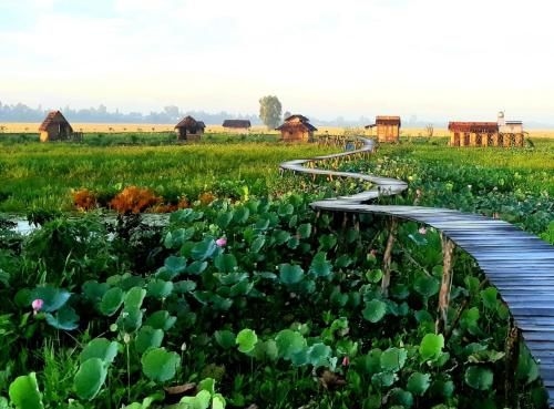 Việt Mekong Farmstay (Viet Mekong Farmstay)0