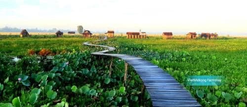 Cottage with Garden View