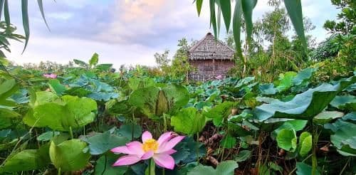 Cottage with Garden View