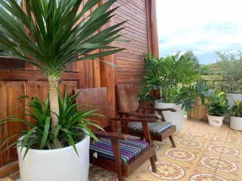 Homestay số 91-Suối Hồ Sa Pa Homestay số 91-Suối Hồ Sa Pa
