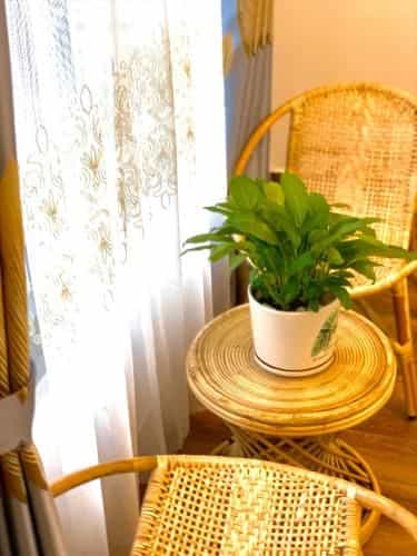 Family Homestay Dalat Casa Family Homestay Dalat Casa
