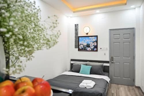 Standard Apartment