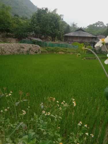 Du Già Vân Chung Homestay Du Già Vân Chung Homestay