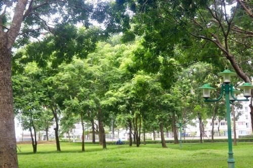 Lagom service apartment Ho chi minh city - airport4
