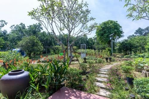 Double Room with Terrace