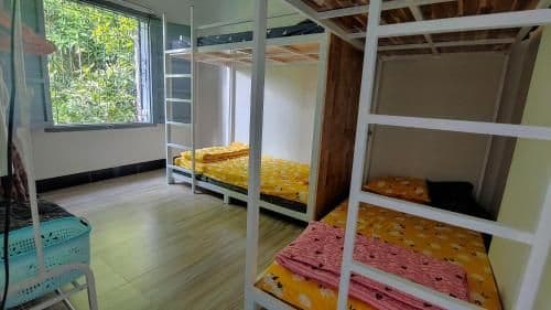 Bed in 4-Bed Dormitory Room