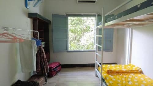 Bed in 4-Bed Dormitory Room