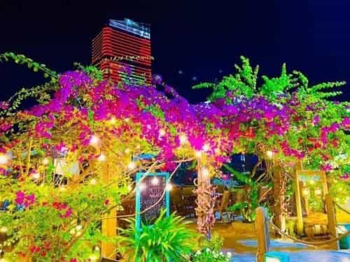 Can ho nghi duong TMS 28 Nguyen Hue Can ho nghi duong TMS 28 Nguyen Hue