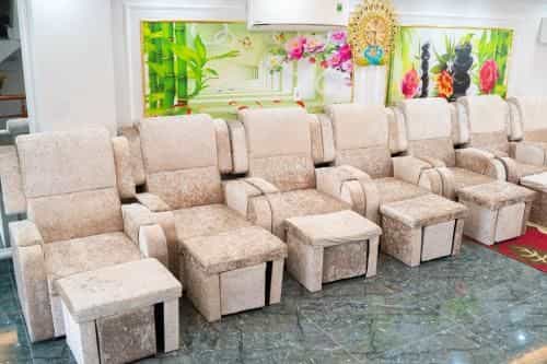 Camellia Tuan Chau Camellia Tuan Chau