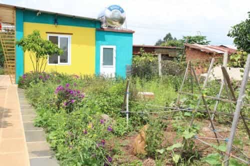 Đồi Chè Gia Nghĩa Homestay Đồi Chè Gia Nghĩa Homestay