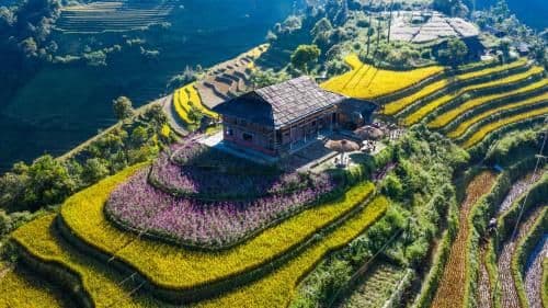 Mu Cang Chai Big view homestay Mu Cang Chai Big view homestay