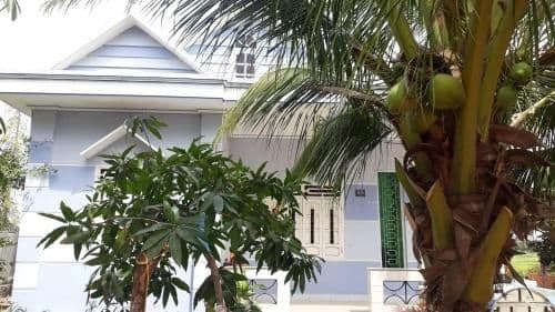 HOMESTAY OF GREEN FIELDS HOMESTAY OF GREEN FIELDS