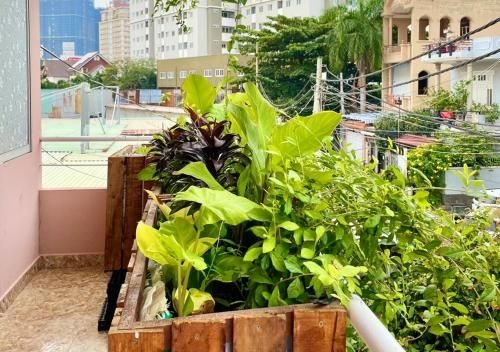5-homestay I (5-homestay Vung Tau)4