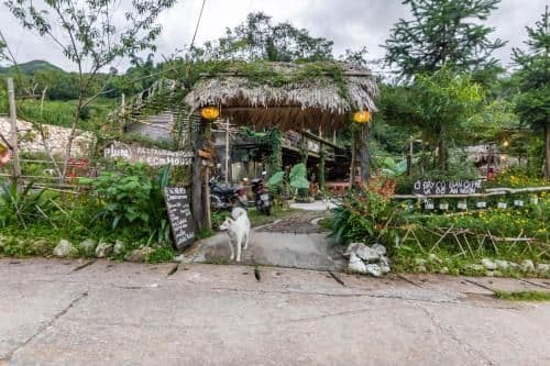 Plum Eco House Plum Eco House