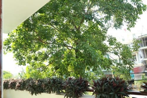 Standard Single Room with Balcony