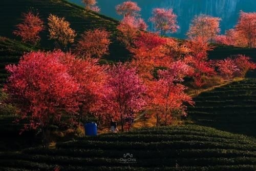 Laochai mountian view1