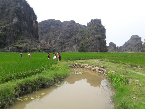 Ninh Binh Family Homestay & Organic Restaurant4
